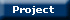 Information about the ongoing project